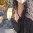 이리온 댕댕 이미지