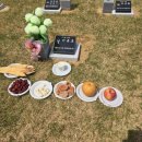 덕산장례서비스