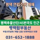 팽성로 이미지