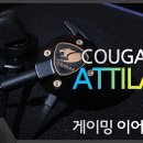 쿠거글로벌 이미지