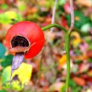 국토법률행정사사무소 이미지