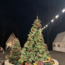 CU 행신복지관점 | 가족여행 4성급 리조트 - 벨포레리조트 (룸컨디션, 조식, 부대시설, 골프CC, 35평, 위치, 가격, 식당...