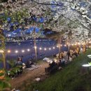 덕산 은행나무길 이미지