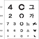 시력과 안압의 의학용어 이미지