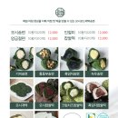 말바우떡