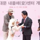 경산의 삽살개육종연구소 이미지