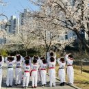 미라클태권도장 이미지