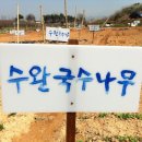 왕버들2농장 이미지