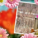 동산플라워 - 성남시 중원구 원터로93번길 2 | 동산플라워