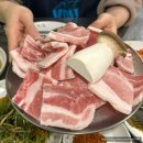 천안역 맛집 자연농원 후기 | 냉삼·생삼 가성비 미쳤다 반찬까지 완벽한 곳