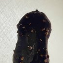 오관포차 이미지