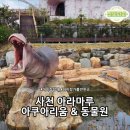입덕공원 | (아이랑함께) 슈빌에 입덕하고 하마 보고 반한 날｜사천 아쿠아리움 체험기