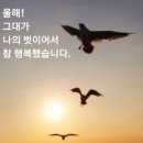 향나무 티스토리