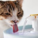 경북대동물병원 이미지