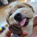 더맛있개 이미지