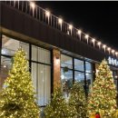 크리스마스 한의원 이미지