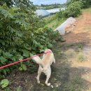 길구농장 이미지