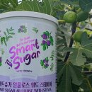 스마트슈가