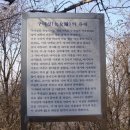 구녀성 티스토리
