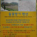 들꽃펜션 | 땅끝기맥 제1구간(노적봉~각수바위~덕룡임도) !