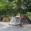 밤골야영장 이미지