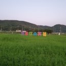 풍덕농장 이미지