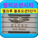 명지 엘크루블루오션(C3) 네이버블로그