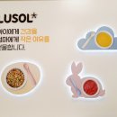 루솔(칠곡점) | 홈플러스 칠곡점 루솔 이유식과 아기반찬 간식종류 다양해요