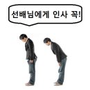 혼술바 자작