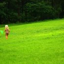 청태산자연휴양림 이미지