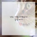 수묵화(심화) 이미지