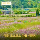 장동주민센터 | 10월 대전 코스모스 가을여행 가볼만한곳 장동만남공원