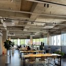 하스커피 이미지