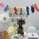 CFM애견유치원 네이버블로그