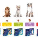 북광주동물약국 이미지