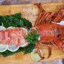 하이야트호프 이미지