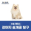 태평역 동물병원 이미지