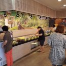 어울림한식뷔페 이미지