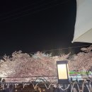 보보스커피숍