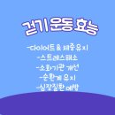 싸목싸목