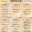 2023년 11월 20일 내일 단타 종목(시가기준), 주식 등락율 순위 이미지