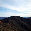 제416차 수요만남 산악회 산행안내 백운산 또아리봉(3월4일) 전남 광양 이미지