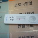 도반 이미지