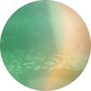 지존당구장 | 차(tea)산 사람의 근황 한 바가지