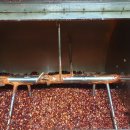 국립농산물품질관리원지원익산사무소 이미지