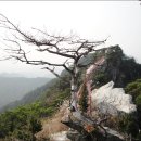 적성삼거리 이미지