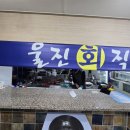 울진회직송 이미지