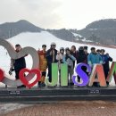 서울 은평 태권도 이미지