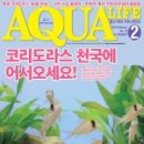아쿠아라이프