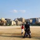 서울고등학교 이미지